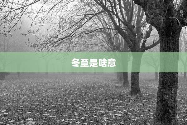 冬至是啥意