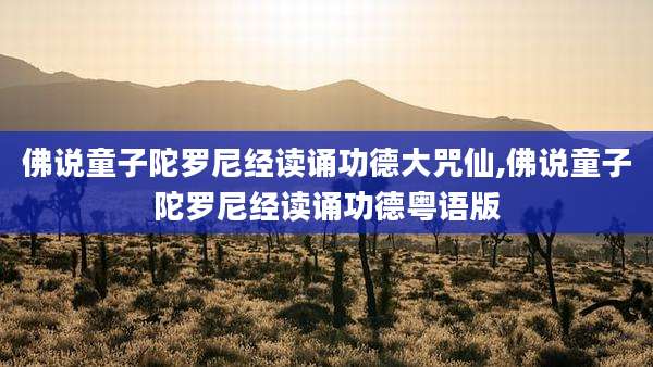 佛说童子陀罗尼经读诵功德大咒仙,佛说童子陀罗尼经读诵功德粤语版