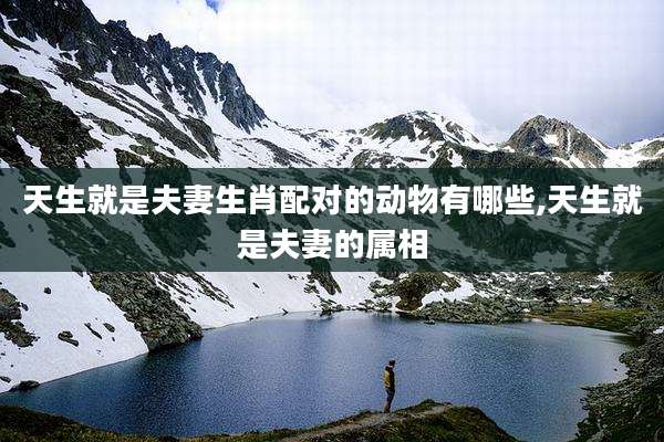 天生就是夫妻生肖配对的动物有哪些,天生就是夫妻的属相