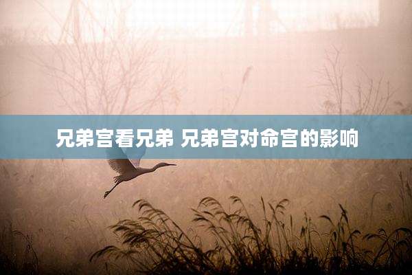 兄弟宫看兄弟 兄弟宫对命宫的影响