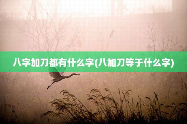 八字加刀都有什么字(八加刀等于什么字)