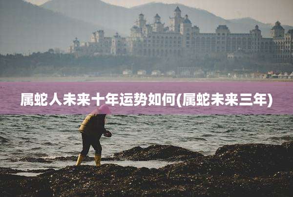 属蛇人未来十年运势如何(属蛇未来三年)