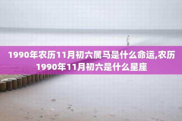 1990年农历11月初六属马是什么命运,农历1990年11月初六是什么星座