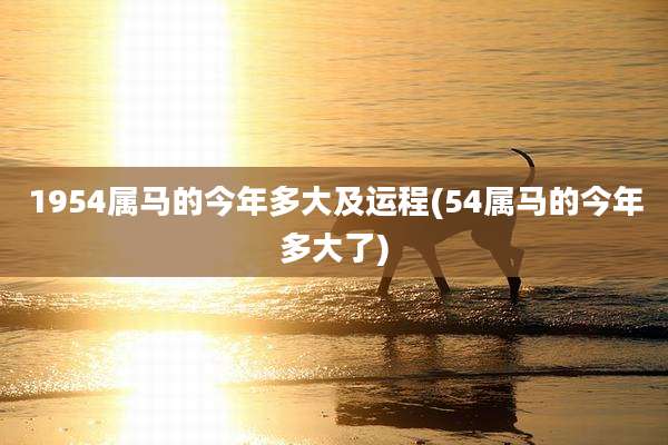 1954属马的今年多大及运程(54属马的今年多大了)