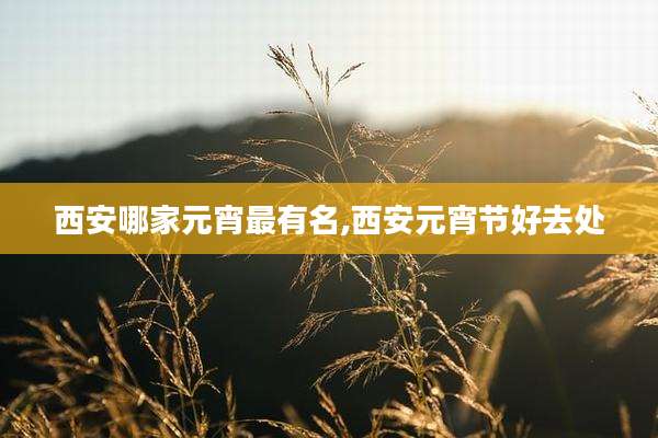西安哪家元宵最有名,西安元宵节好去处