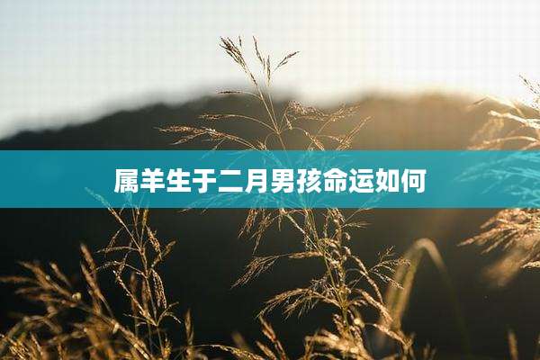 属羊生于二月男孩命运如何