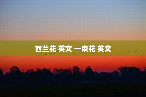 西兰花 英文 一束花 英文