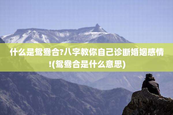 什么是鸳鸯合?八字教你自己诊断婚姻感情!(鸳鸯合是什么意思)