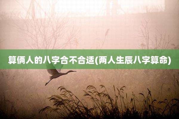 算俩人的八字合不合适(两人生辰八字算命)