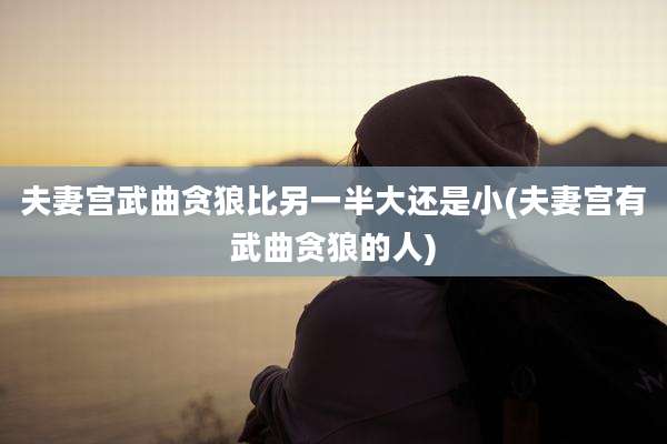 夫妻宫武曲贪狼比另一半大还是小(夫妻宫有武曲贪狼的人)