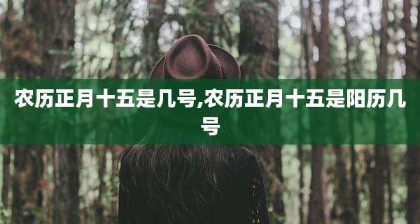 农历正月十五是几号,农历正月十五是阳历几号