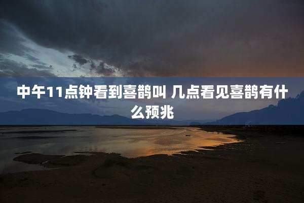 中午11点钟看到喜鹊叫 几点看见喜鹊有什么预兆