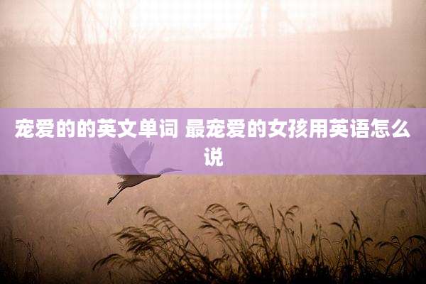 宠爱的的英文单词 最宠爱的女孩用英语怎么说