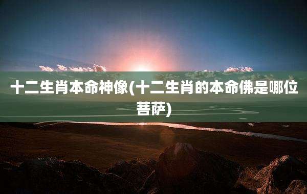 十二生肖本命神像(十二生肖的本命佛是哪位菩萨)