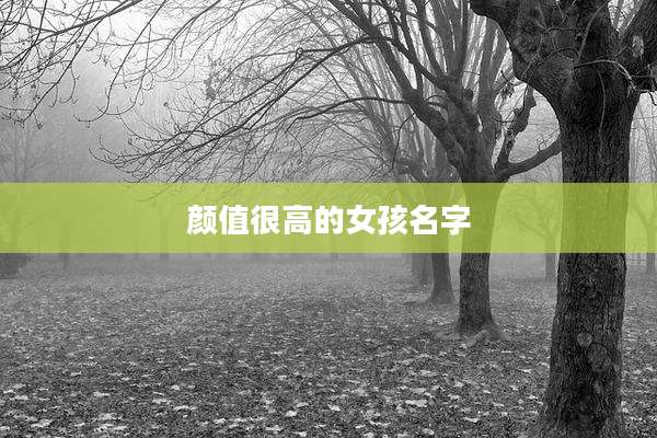 颜值很高的女孩名字