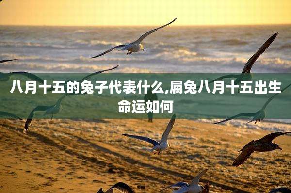 八月十五的兔子代表什么,属兔八月十五出生命运如何