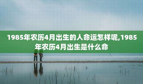 1985年农历4月出生的人命运怎样呢,1985年农历4月出生是什么命