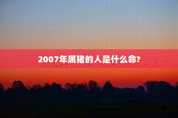 2007年属猪的人是什么命?