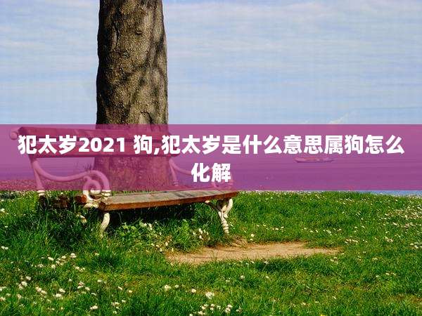 犯太岁2021 狗,犯太岁是什么意思属狗怎么化解