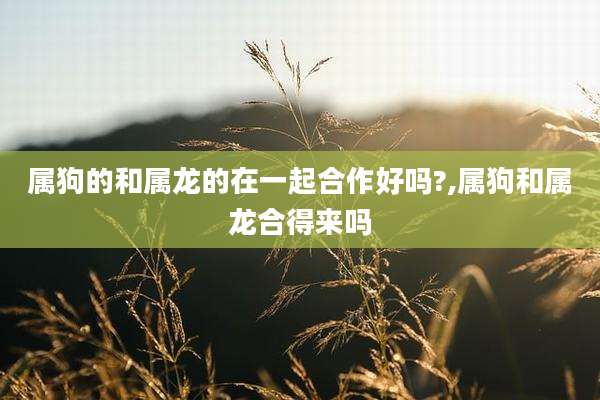 属狗的和属龙的在一起合作好吗?,属狗和属龙合得来吗