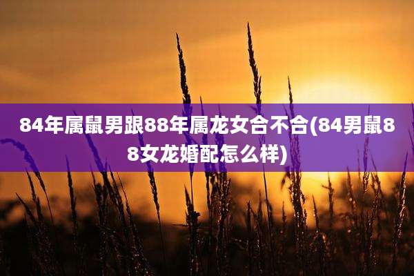 84年属鼠男跟88年属龙女合不合(84男鼠88女龙婚配怎么样)