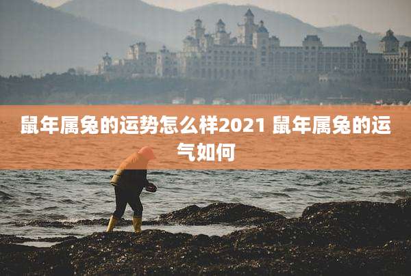 鼠年属兔的运势怎么样2021 鼠年属兔的运气如何
