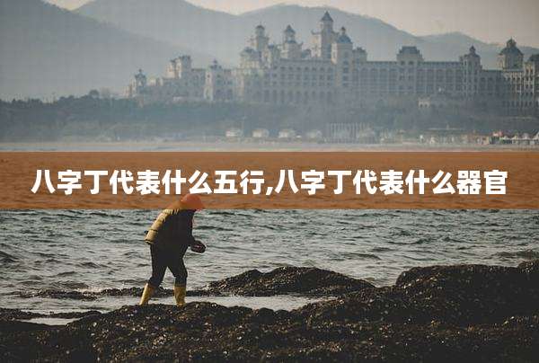 八字丁代表什么五行,八字丁代表什么器官