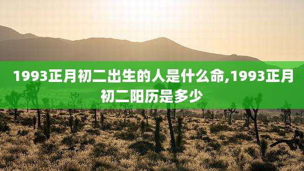 1993正月初二出生的人是什么命,1993正月初二阳历是多少