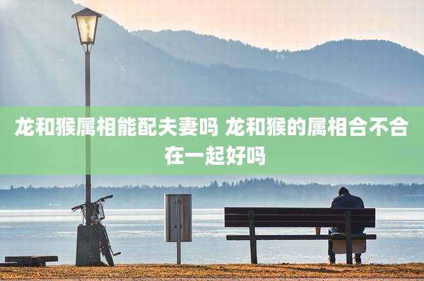 龙和猴属相能配夫妻吗 龙和猴的属相合不合 在一起好吗