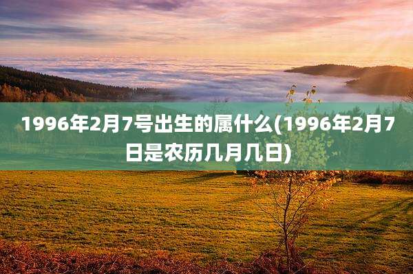 1996年2月7号出生的属什么(1996年2月7日是农历几月几日)