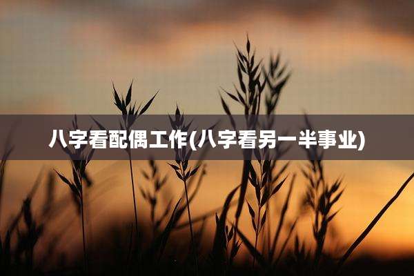 八字看配偶工作(八字看另一半事业)