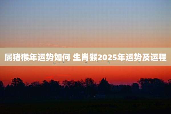 属猪猴年运势如何 生肖猴2025年运势及运程