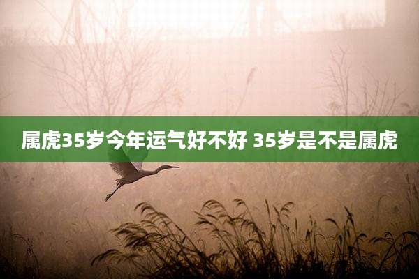 属虎35岁今年运气好不好 35岁是不是属虎