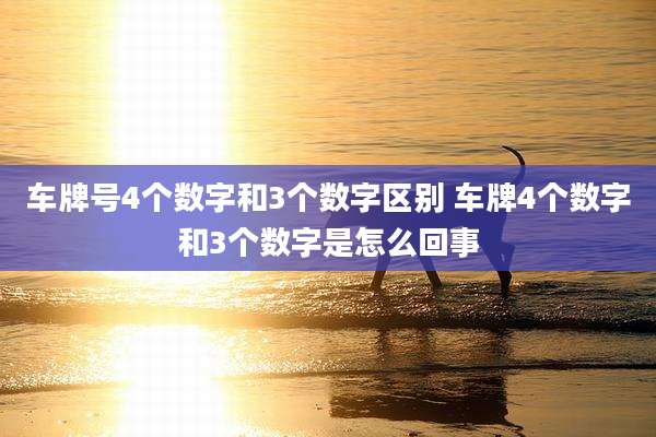 车牌号4个数字和3个数字区别 车牌4个数字和3个数字是怎么回事