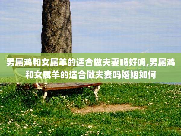 男属鸡和女属羊的适合做夫妻吗好吗,男属鸡和女属羊的适合做夫妻吗婚姻如何