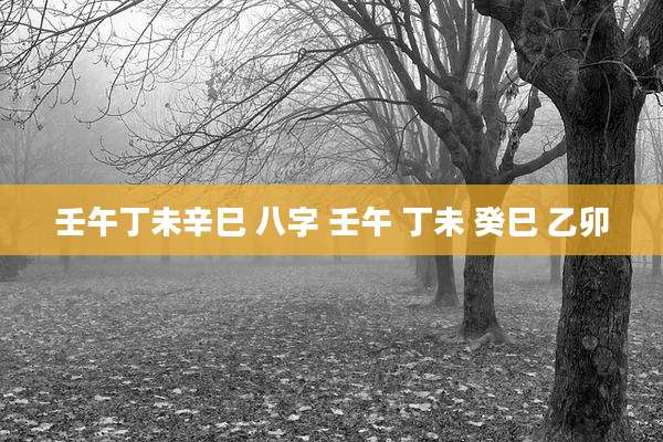 壬午丁未辛巳 八字 壬午 丁未 癸巳 乙卯