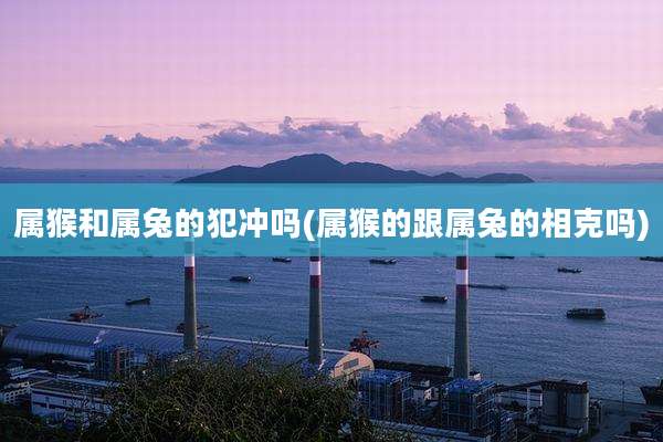 属猴和属兔的犯冲吗(属猴的跟属兔的相克吗)