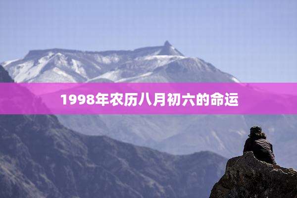 1998年农历八月初六的命运