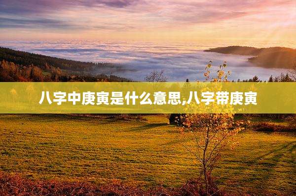 八字中庚寅是什么意思,八字带庚寅