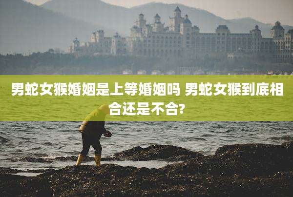 男蛇女猴婚姻是上等婚姻吗 男蛇女猴到底相合还是不合?