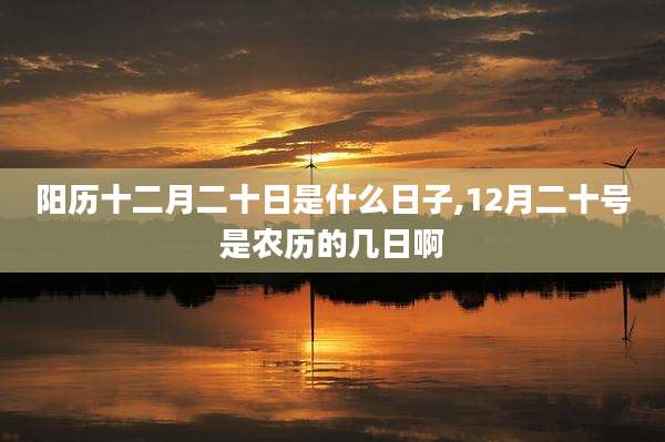 阳历十二月二十日是什么日子,12月二十号是农历的几日啊