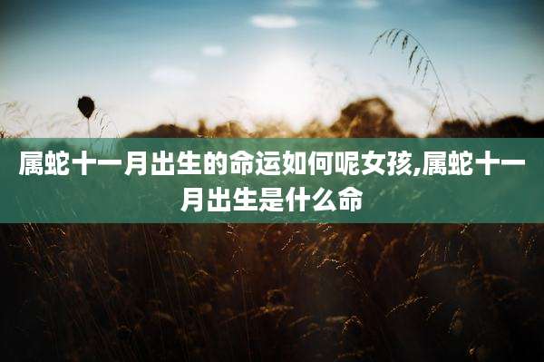 属蛇十一月出生的命运如何呢女孩,属蛇十一月出生是什么命