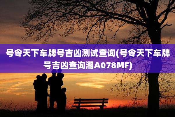 号令天下车牌号吉凶测试查询(号令天下车牌号吉凶查询湘A078MF)