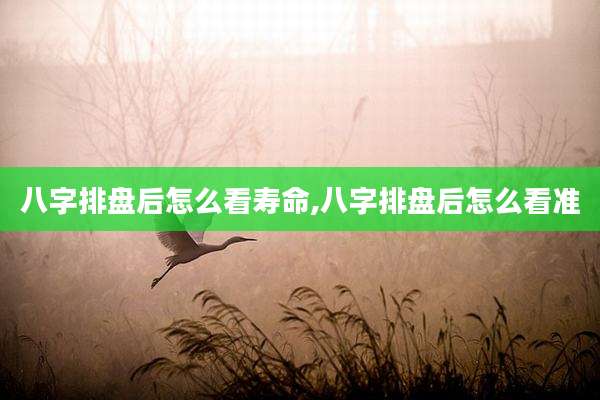 八字排盘后怎么看寿命,八字排盘后怎么看准