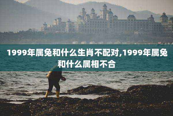 1999年属兔和什么生肖不配对,1999年属兔和什么属相不合