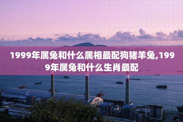 1999年属兔和什么属相最配狗猪羊兔,1999年属兔和什么生肖最配