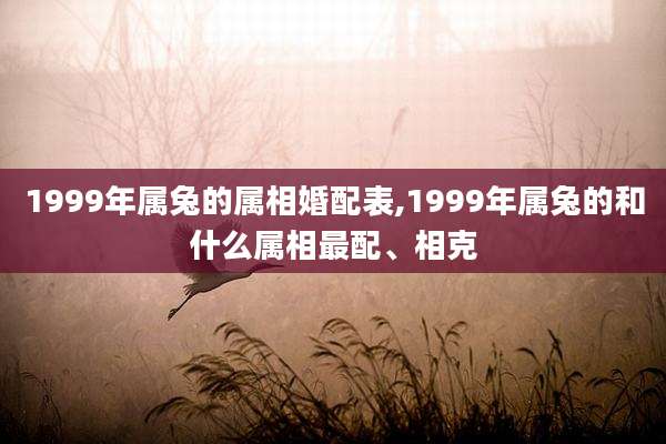 1999年属兔的属相婚配表,1999年属兔的和什么属相最配、相克