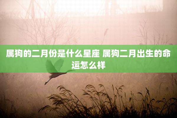 属狗的二月份是什么星座 属狗二月出生的命运怎么样