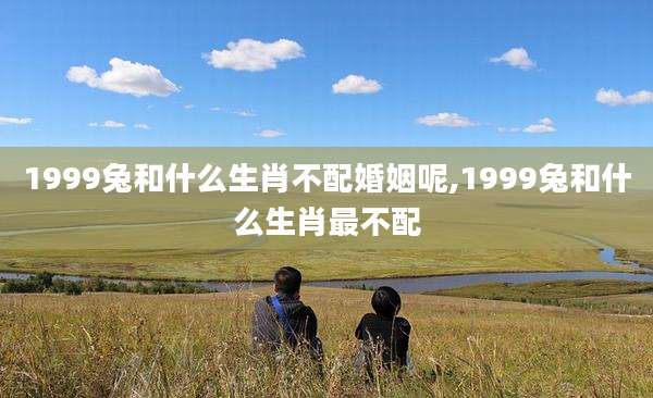 1999兔和什么生肖不配婚姻呢,1999兔和什么生肖最不配