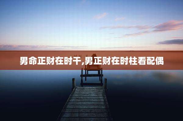 男命正财在时干,男正财在时柱看配偶